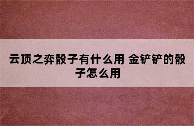 云顶之弈骰子有什么用 金铲铲的骰子怎么用